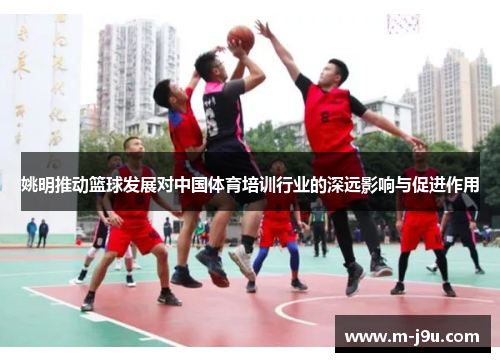 姚明推动篮球发展对中国体育培训行业的深远影响与促进作用 姚明推动篮球发展对中国体育培训行业的深远影响与促进作用