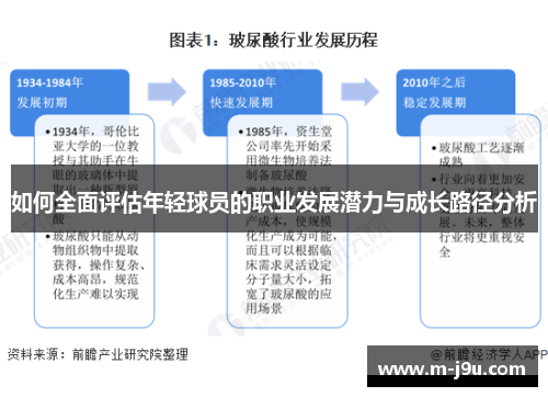 如何全面评估年轻球员的职业发展潜力与成长路径分析