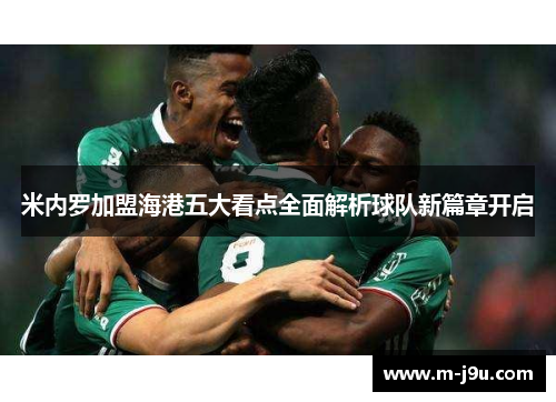 米内罗加盟海港五大看点全面解析球队新篇章开启 米内罗加盟海港五大看点全面解析球队新篇章开启