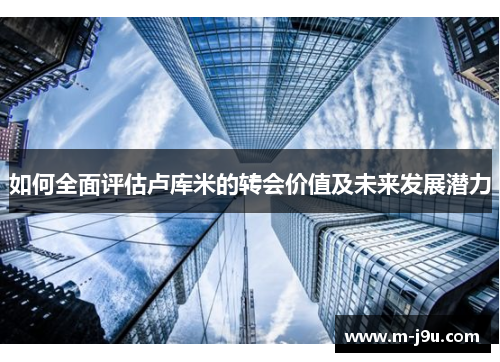 如何全面评估卢库米的转会价值及未来发展潜力