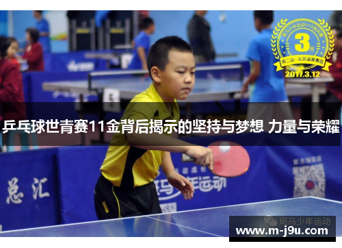 乒乓球世青赛11金背后揭示的坚持与梦想 力量与荣耀