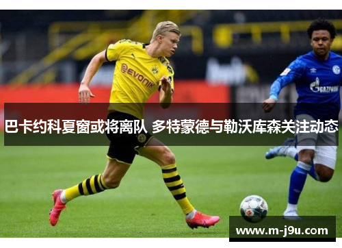 巴卡约科夏窗或将离队 多特蒙德与勒沃库森关注动态