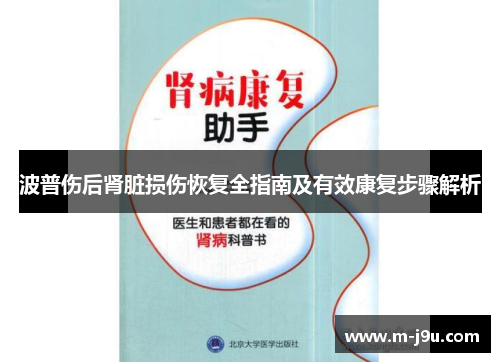 波普伤后肾脏损伤恢复全指南及有效康复步骤解析