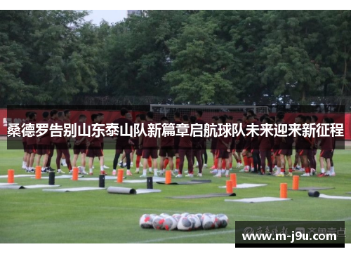 桑德罗告别山东泰山队新篇章启航球队未来迎来新征程