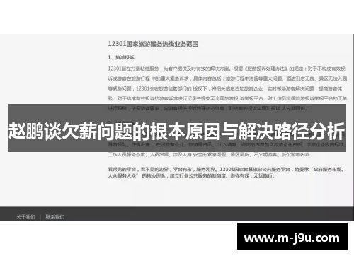 赵鹏谈欠薪问题的根本原因与解决路径分析