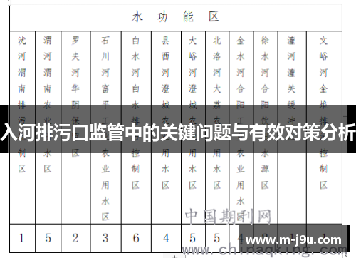 入河排污口监管中的关键问题与有效对策分析