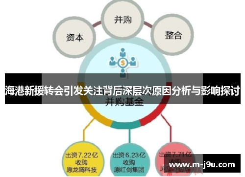 海港新援转会引发关注背后深层次原因分析与影响探讨