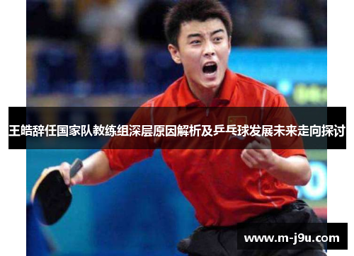 王皓辞任国家队教练组深层原因解析及乒乓球发展未来走向探讨