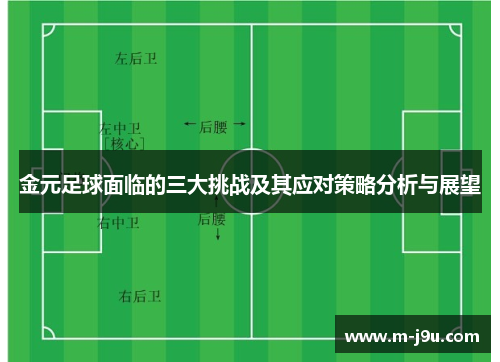金元足球面临的三大挑战及其应对策略分析与展望