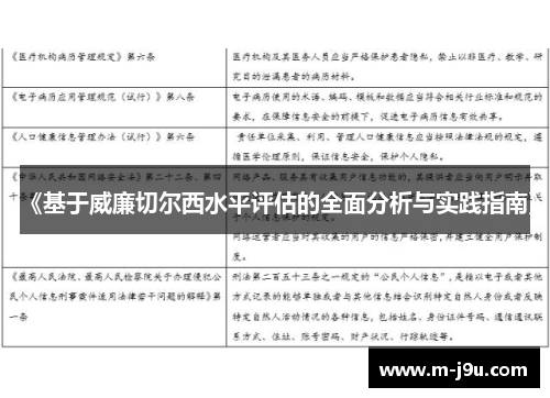 《基于威廉切尔西水平评估的全面分析与实践指南》