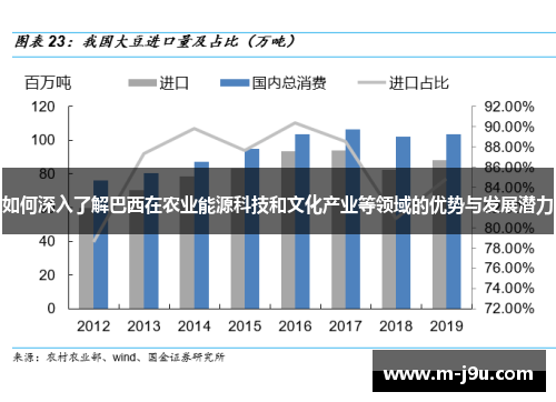 如何深入了解巴西在农业能源科技和文化产业等领域的优势与发展潜力