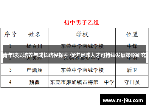 青年球员培养与成长路径探索 促进足球人才可持续发展策略研究