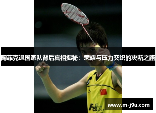 陶菲克退国家队背后真相揭秘：荣耀与压力交织的决断之路