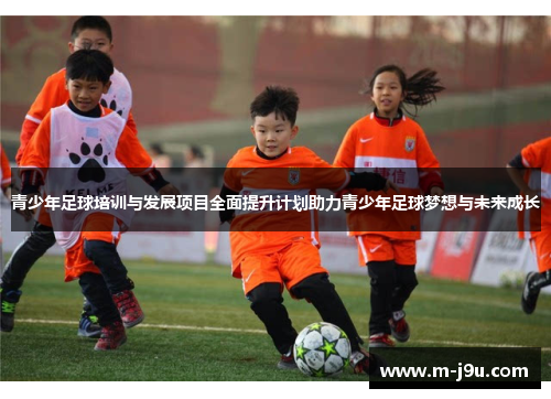 青少年足球培训与发展项目全面提升计划助力青少年足球梦想与未来成长