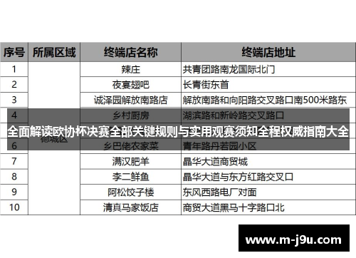全面解读欧协杯决赛全部关键规则与实用观赛须知全程权威指南大全