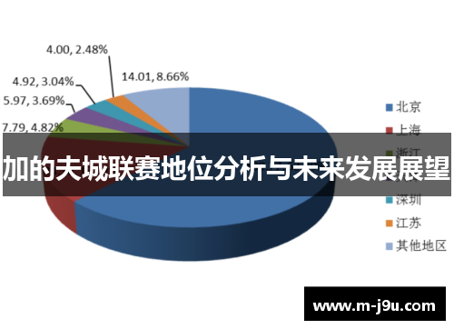加的夫城联赛地位分析与未来发展展望
