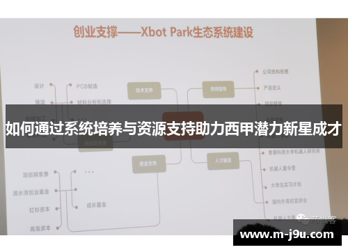 如何通过系统培养与资源支持助力西甲潜力新星成才 如何通过系统培养与资源支持助力西甲潜力新星成才