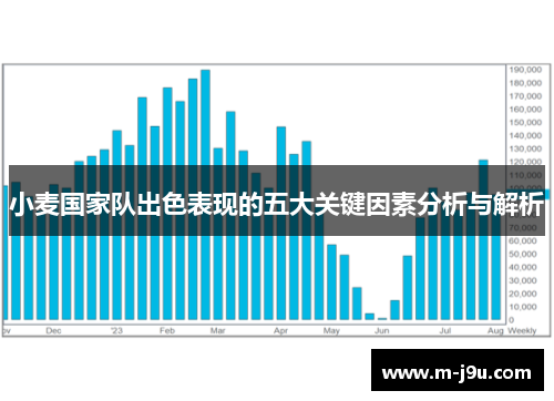 小麦国家队出色表现的五大关键因素分析与解析 小麦国家队出色表现的五大关键因素分析与解析