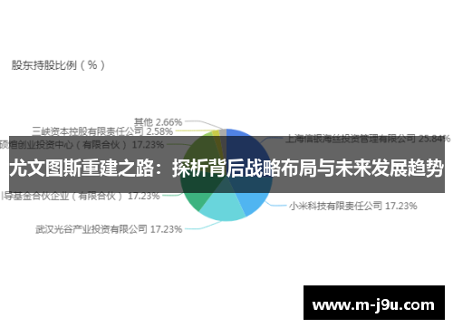 尤文图斯重建之路:探析背后战略布局与未来发展趋势 尤文图斯重建之路:探析背后战略布局与未来发展趋势