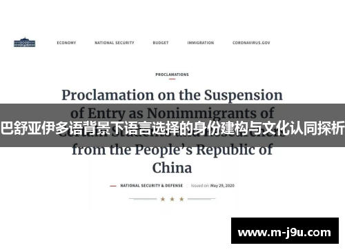 巴舒亚伊多语背景下语言选择的身份建构与文化认同探析