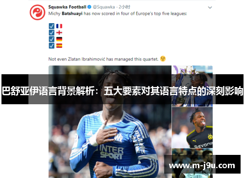 巴舒亚伊语言背景解析：五大要素对其语言特点的深刻影响