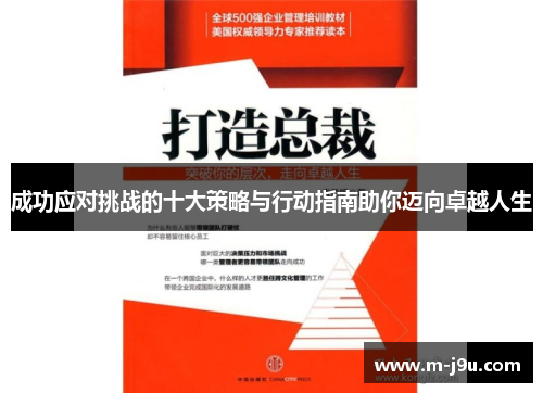 成功应对挑战的十大策略与行动指南助你迈向卓越人生
